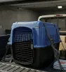 TRANSPORTADORA KENNEL GRANDE COLORES
